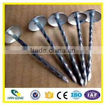 Roofing Nail Factory 3 Inch Electro Galvanized Twisted Shank photo-5