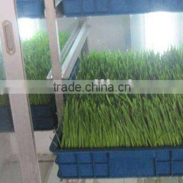 Hydroponics Animal Fodder Machine Animal Fodder Making Machine , Bean Sprout Machine , Barley Sprout Machine photo-4