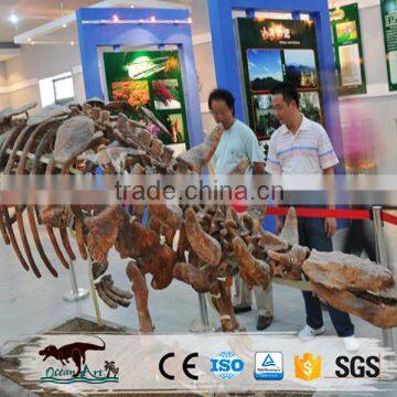 OA4019 Museum Quality Realistic Dinosaur Replica Model photo-3