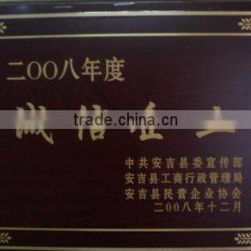 Integrity Enterprises 2008