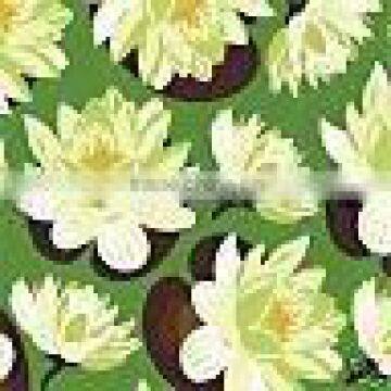 PRINTED FABRIC photo-6