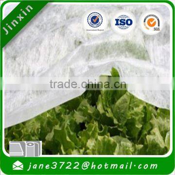 Greenhouse Plant Container, Small Vegetable Nonwoven Fabric Cover in 100% Polypropylene photo-2