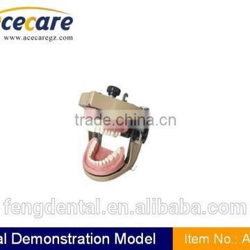 dental supply Articulator model AC-P2