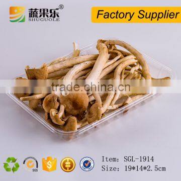 PET Blister Plastic Food Tray