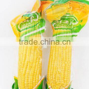 High Quality Sweet Corn Cob in Vacuum Wholesale Snack Foods photo-6