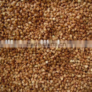 Roasted Buckwheat Kernel New Crop 2011