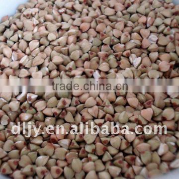 Buckwheat Kernel New Crop 2016