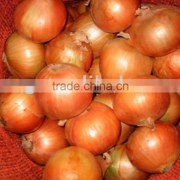 2015 crop fresh yellow onion in mesh bag with cheap price