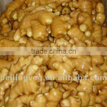 Fresh Vegetable( Carrot ,giner,onion,potato,garlic,taro