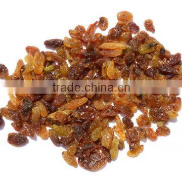 MALAYAR RAISIN GRADE A