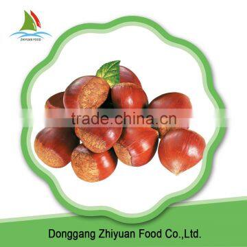 2016 Price Organic Grade A Peeled Raw Frozen Chestnut for Sale