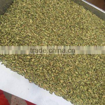 Indian fennel seeds