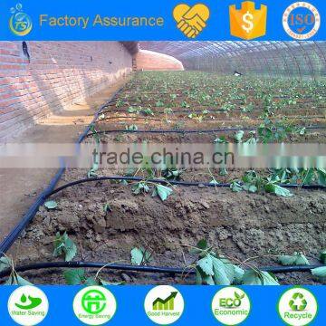 green house drip irrigation system saving water