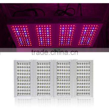 Low Price High Power Cidly Grow Leds From Shenzhen Factory photo-4