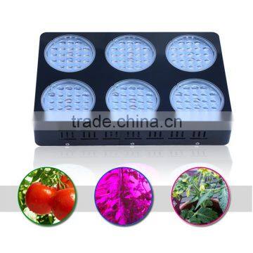High Input 600W Light Grow Led Double Lens Grow Lamps