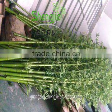 SJLJ013620 Artificial Tree and Plant Fake Plastic Bamboo for Garden Home Decoration photo-2