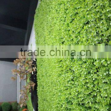 Recycling Material Long Life Green Grass Wall for Indoor and Outdoor Decor photo-4