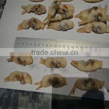 Seafood and Frozen Wholesale Razor