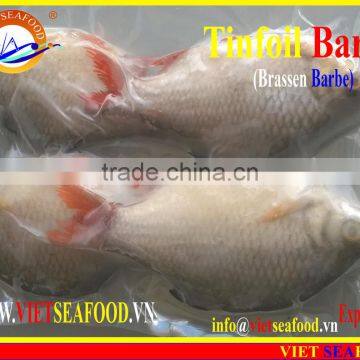 FROZEN W/R RED TAIL TINFOIL BARB