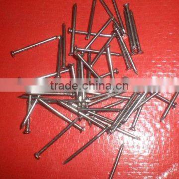 panel pins with flat head