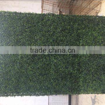 Real Touch Artificial Mangosteen Lawn photo-6