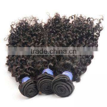Sy Curly Human Braiding Hair, Different Types Of Curly Weave Hair photo-5