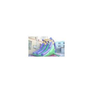 Custom 0.55 mm PVC / plato TM Inflatable Water Slide With Climber for aqua park