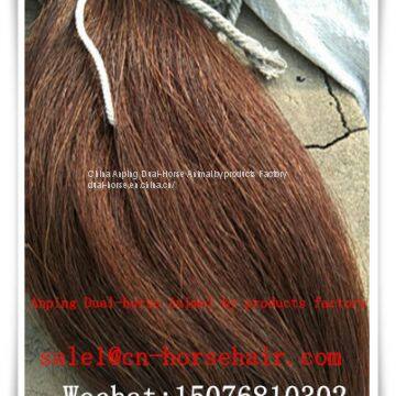 Natural Horse Tail Hair photo-2