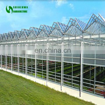 Commercial Steel Frame Greenhouse Used For Sale