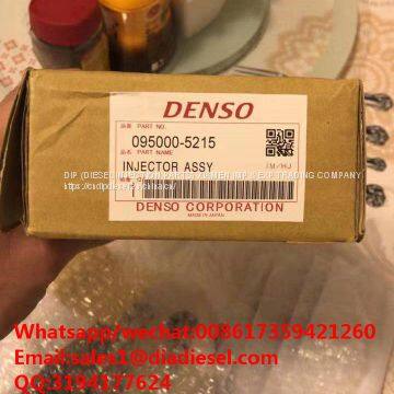 Common Rail Fuel Injector 23670-E0351 095000-5215 for Hino for Sale photo-2