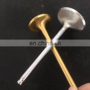Malaysia High Quality Engine Valve for Mitsubishi Proton Waja 1.6 1.8 Wira 1.6 v6 1.8 2.0D 12V Intake Valve Exhaust Valve photo-7