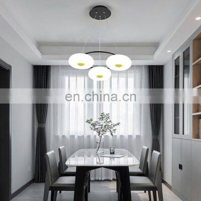Home Hotel Decor Pendant Lamp