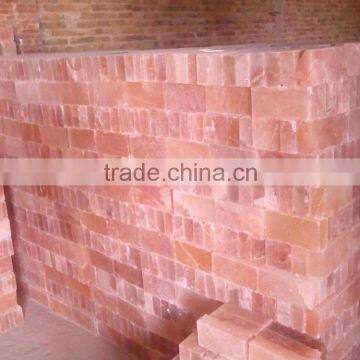 Himalayan Salt Bricks