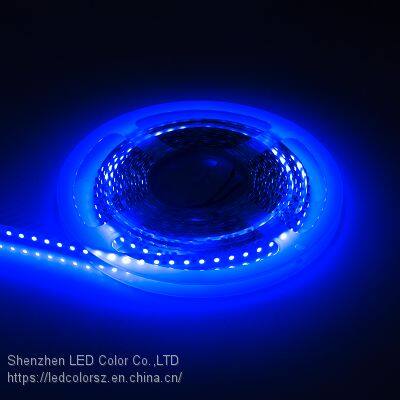 Blue Color Led Strip 120leds Dc24v Flexible Non Waterproof LED Strip photo-3