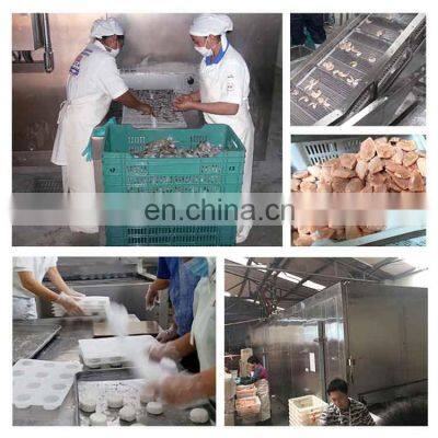 CE Approved Industrial Tunnel Freezer / Iqf Freezing Machine Tunnel / Freeze Vegetable and Fruit Freezing Equipment