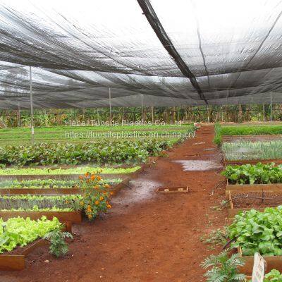 Dark Green Plastic Sun Shade Netting Cloth For Agriculture