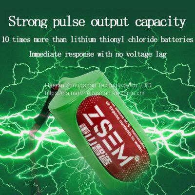 Lithium Battery Combination Power Supply ETC Battery photo-3