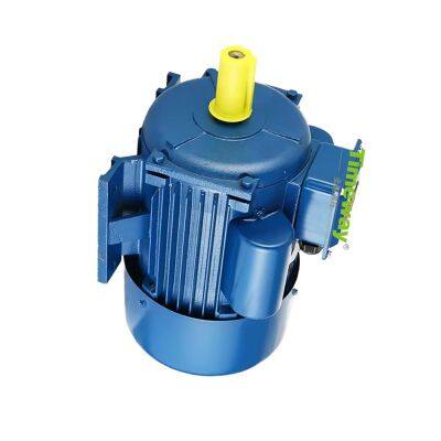 Find Similar Icon OEM Series 750w 1hp 110v 220v 50hz 2800rpm Induction AC Motor Single Phase Electric Motors photo-4