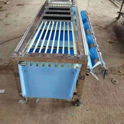 Fruit Blueberry Blueberries Sorting Grading Machine Sorter Grader Machine Line Classifying Machines