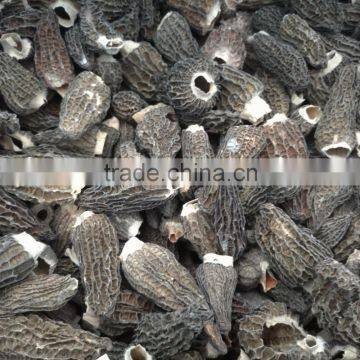 Dired Morchella Esculenta Yunnan Specialties