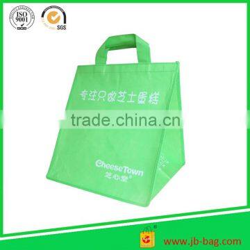 2012 Fashion Non Woven Thermo Bag(FZ592)