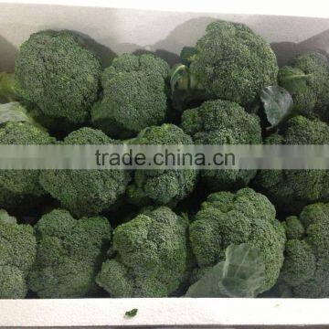 broccoli price/frozen broccoli/fresh broccoli from China broccoli puree