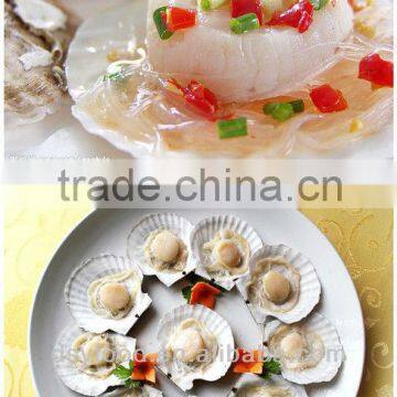 Whole Sea Scallop