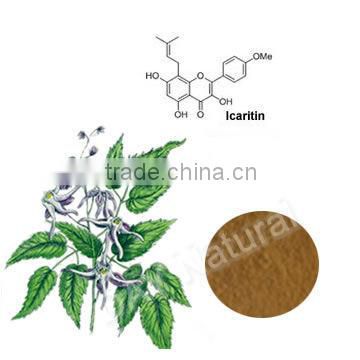 Horny Goat Weed Extract Icariin Herbal Medicine