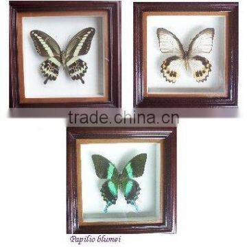 wooden frame