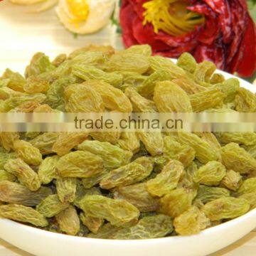 Persian Raisin the Tastiest (Golden Raisin, Sultana Raisin)