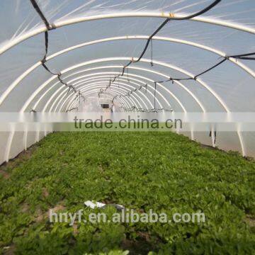 Greenhouse film