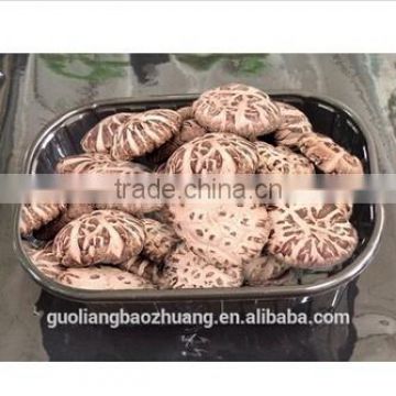 Guoliang Eco-friendly Plastic Fresh Mushroom Tray