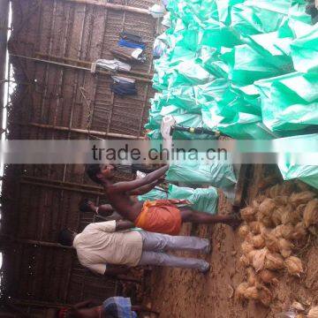 Fresh Semi Husked Matured Cocount photo-5