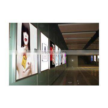 Price Acrylic Sheet/Organic Glass photo-6